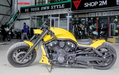 Ngắm Harley-Davidson V-Rode Muscle lên tem cực độc tại Hà Nội