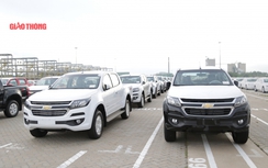 Ô tô bán tải nhập khẩu: Xe Thái Lan độc chiếm