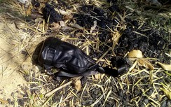 Tin mới vụ truy bắt nghi can bắn chết người ở Kon Tum