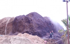 Kho dăm gỗ bốc cháy dữ dội, thiêu rụi hàng trăm tỷ đồng