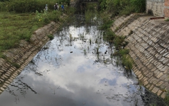 Vụ học sinh đeo khẩu trang nghe giảng: Thêm 3 công ty bị phạt