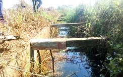 Vụ "bê tông cốt cây": Các thanh giằng thế nào khi đập kiểm tra?