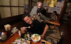 Ngạc nhiên: Khỉ làm phục vụ bàn cực kì đáng yêu