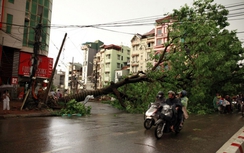 Thời tiết 18/4: "Rét nàng Bân" gây mưa dông ở miền Bắc