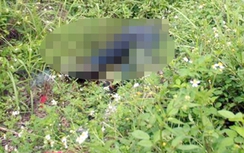 Một phụ nữ 53 tuổi nghi bị hiếp, giết ở ven đường