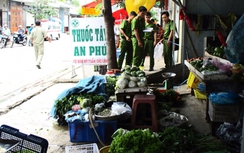 Ngăn chặt cây, một người bị đâm chết