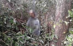 Xác minh danh tính thi thể phân hủy trên núi ở Nghệ An