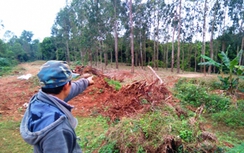 Nam sinh lớp 9 tự tử vì bị nghi trộm hoa lan