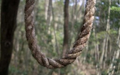 Gia Lai: Phát hiện thi thể phân hủy trong rừng