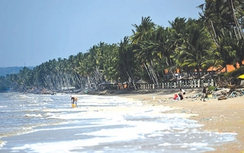 Nhìn lại "thảm họa" thủy triều đỏ ở biển Bình Thuận 14 năm trước