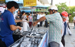 Không ăn cá chết trong vùng 20 hải lý tại 4 tỉnh miền Trung