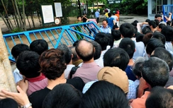 Hà Nội cấm thi tuyển vào lớp 1 và lớp 6