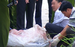 Cặp song sinh giết người, phi tang bằng bao tải