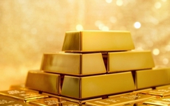 Giá vàng hôm nay 28/9: Giảm mạnh vì... bầu cử Mỹ?