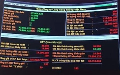 Đấu giá thành công gần 78 triệu cổ phần ACV