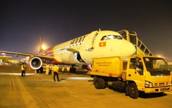 Tân Sơn Nhất giảm tải bằng chuyến bay đêm