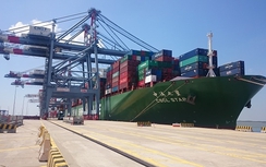 Khẩn trương ban hành các nghị định mới về hàng hải