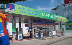CNG: 10 năm nỗ lực gieo mầm xanh