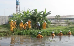 PV GAS hưởng ứng “Tháng Bảo vệ Môi trường” 2017