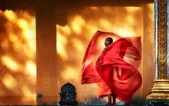 Hơn 700 tác phẩm tham dự Giải thưởng nhiếp ảnh Heritage 2018