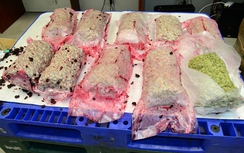 Tin tức 24h mới nhất, nóng nhất hôm nay 16/6/2017