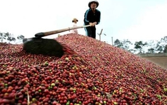 WB dự báo tăng trưởng kinh tế Việt Nam ở mức 6%