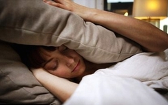 Tiếng ồn giao thông rút ngắn tuổi thọ