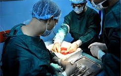 16 ca hiến tặng mô tạng giúp cứu sống 46 người