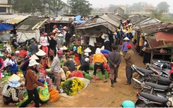 Đi chợ Tết với bà!