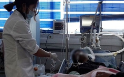 Bảy người Hà Nhì (Lai Châu) tử vong vì ngộ độc thực phẩm