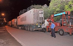 Hải Phòng thu hồi phù hiệu 175 xe kinh doanh vận tải