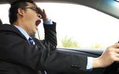Ngủ gật trên vô lăng, 7 người mất mạng