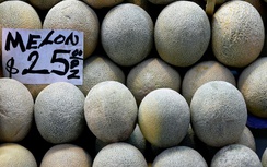 3 người Australia chết vì ăn dưa nhiễm khuẩn