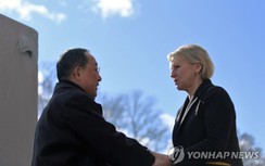 Triều Tiên, Thụy Điển không hội đàm về thượng đỉnh với Mỹ