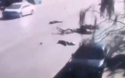 Lao xe vào học sinh Trung Quốc vì chán chuyện hôn nhân