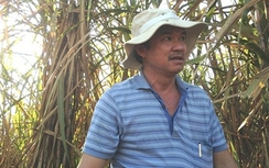 Mặc tranh cãi "mía đường", Bầu Đức âm thầm đút túi 68 tỷ