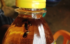 Ai bỏ 5 con ruồi vào chai nước C2?