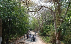 Thi thể phụ nữ đang phân hủy trong khu du lịch