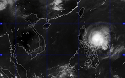 Siêu bão Maysak đang di chuyển nhanh vào biển Đông