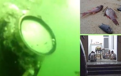 Thợ lặn ở Formosa tử vong: Công an nói gì?