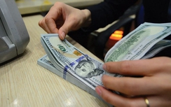 Nên cho phép huy động USD trả lãi