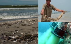 TRỰC TIẾP: Công bố thủ phạm gây cá chết ở miền Trung