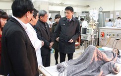 Cảnh báo ngộ độc nấm gia tăng trong mùa xuân