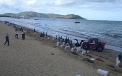 Bồi thường hơn 2 tỷ đồng cho sự cố tràn dầu