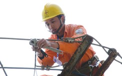 Sự cố ám ảnh ngành Điện hè này