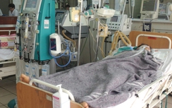 Bệnh nhân ngộ độc nấm có thể phải ghép gan