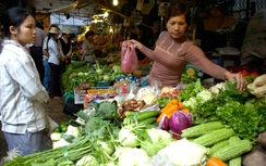 Rau củ lại tăng giá