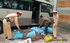 Bắt xe khách vận chuyển 150kg gỗ Sưa