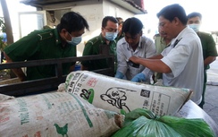 TP. HCM: Bắt giữ 1 tấn thịt bẩn tại cửa ngõ phía Tây