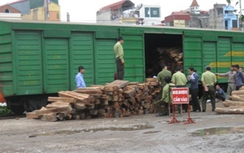Truy tố đường dây vận chuyển gỗ lậu qua đường sắt